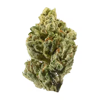Blue Dream
