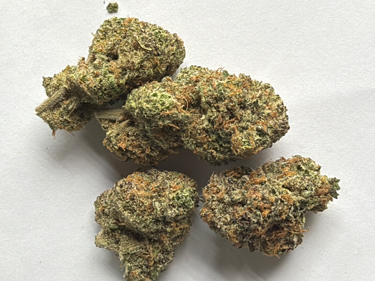 Blue Dream - Customer photo