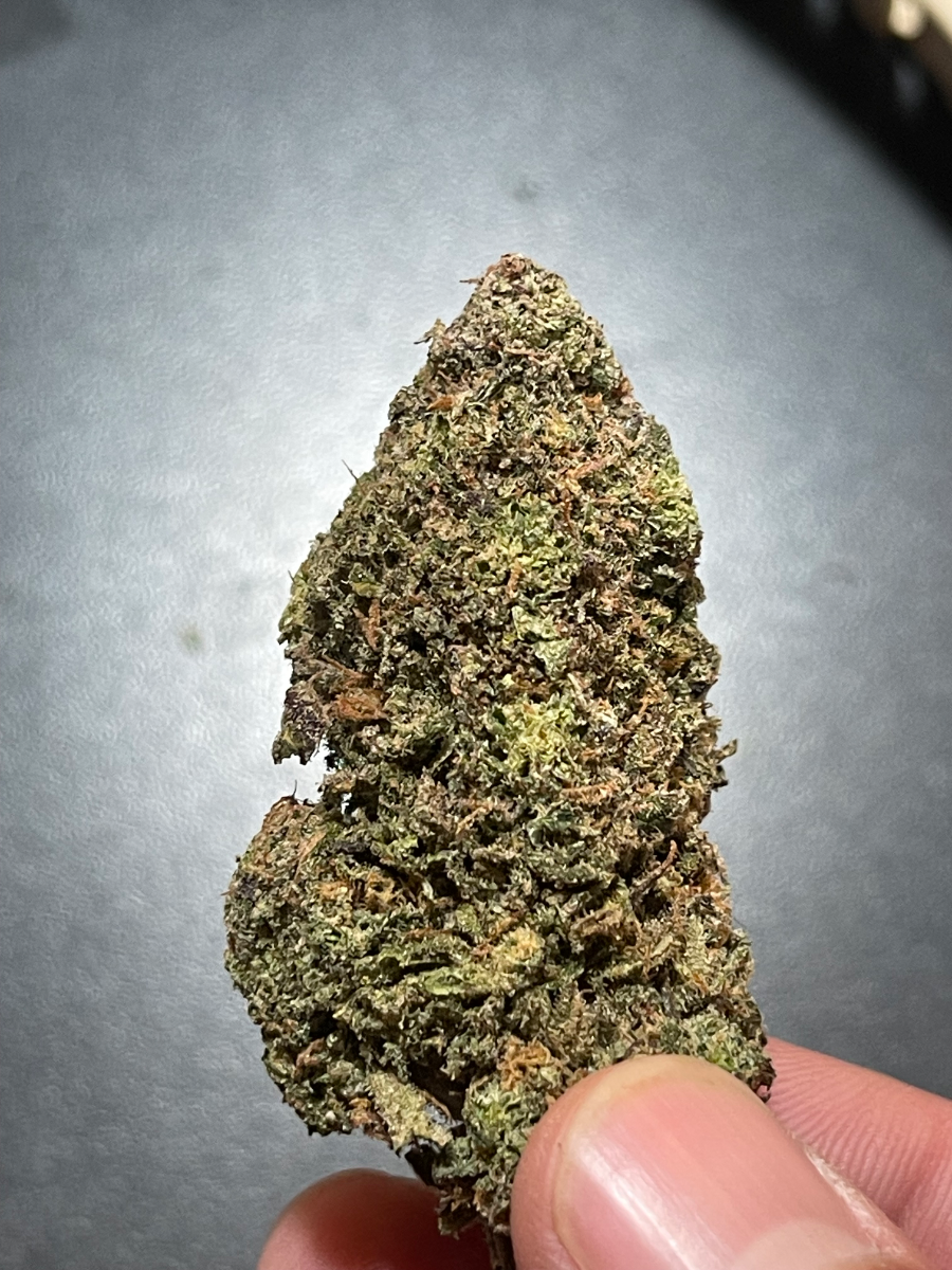 Blue Dream - Customer photo