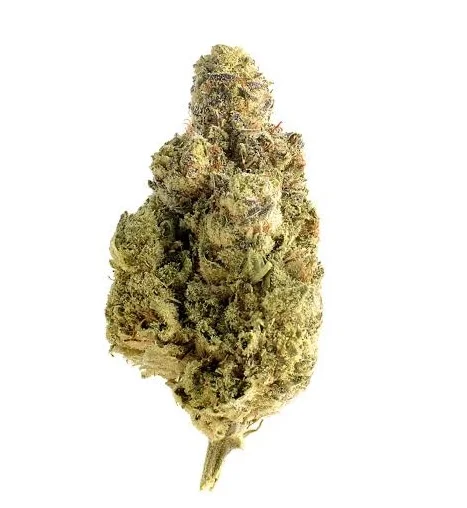 Blue Dream - Customer photo