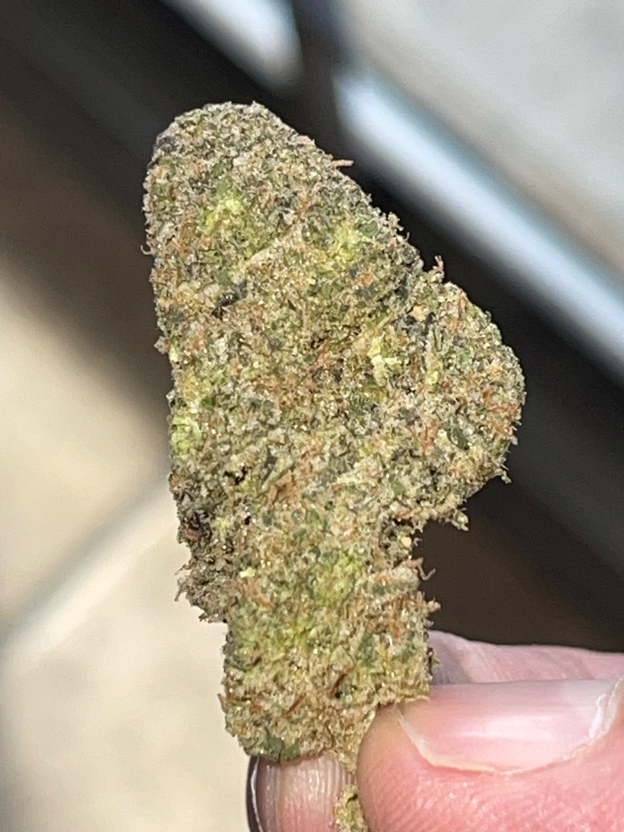 Shamrocked - Customer photo